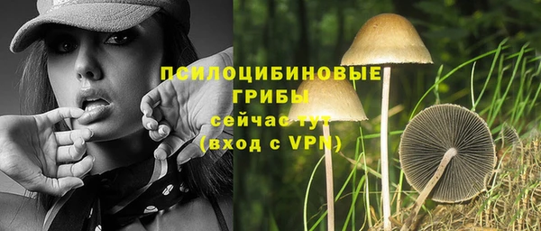 крисы Медвежьегорск
