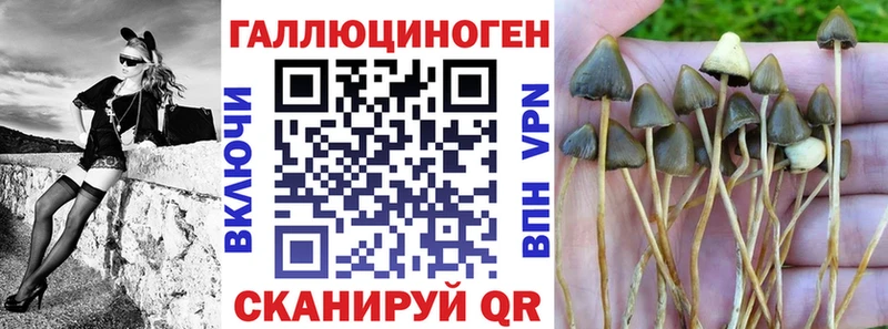 Галлюциногенные грибы MAGIC MUSHROOMS  наркота  Дивногорск 
