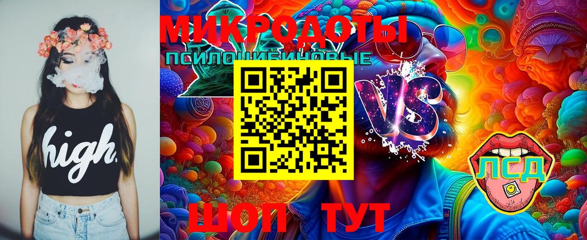 Галлюциногенные грибы мицелий Дивногорск