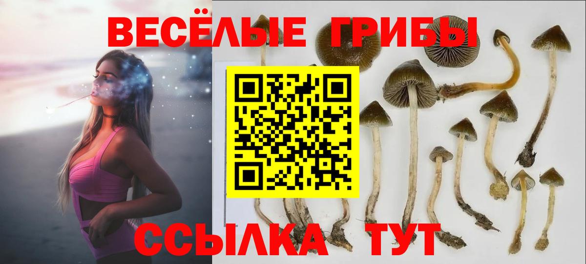 Дивногорск  Псилоцибиновые грибы GOLDEN TEACHER  Псилоцибиновые грибы GOLDEN TEACHER  Вход с VPN 