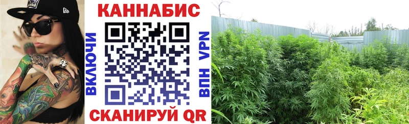 omg вход  купить наркоту  Дивногорск  Конопля конопля 