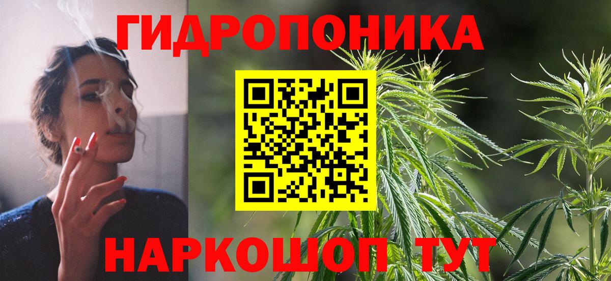 Канабис White Widow  Вход с VPN  Дивногорск  Каннабис Amnesia 